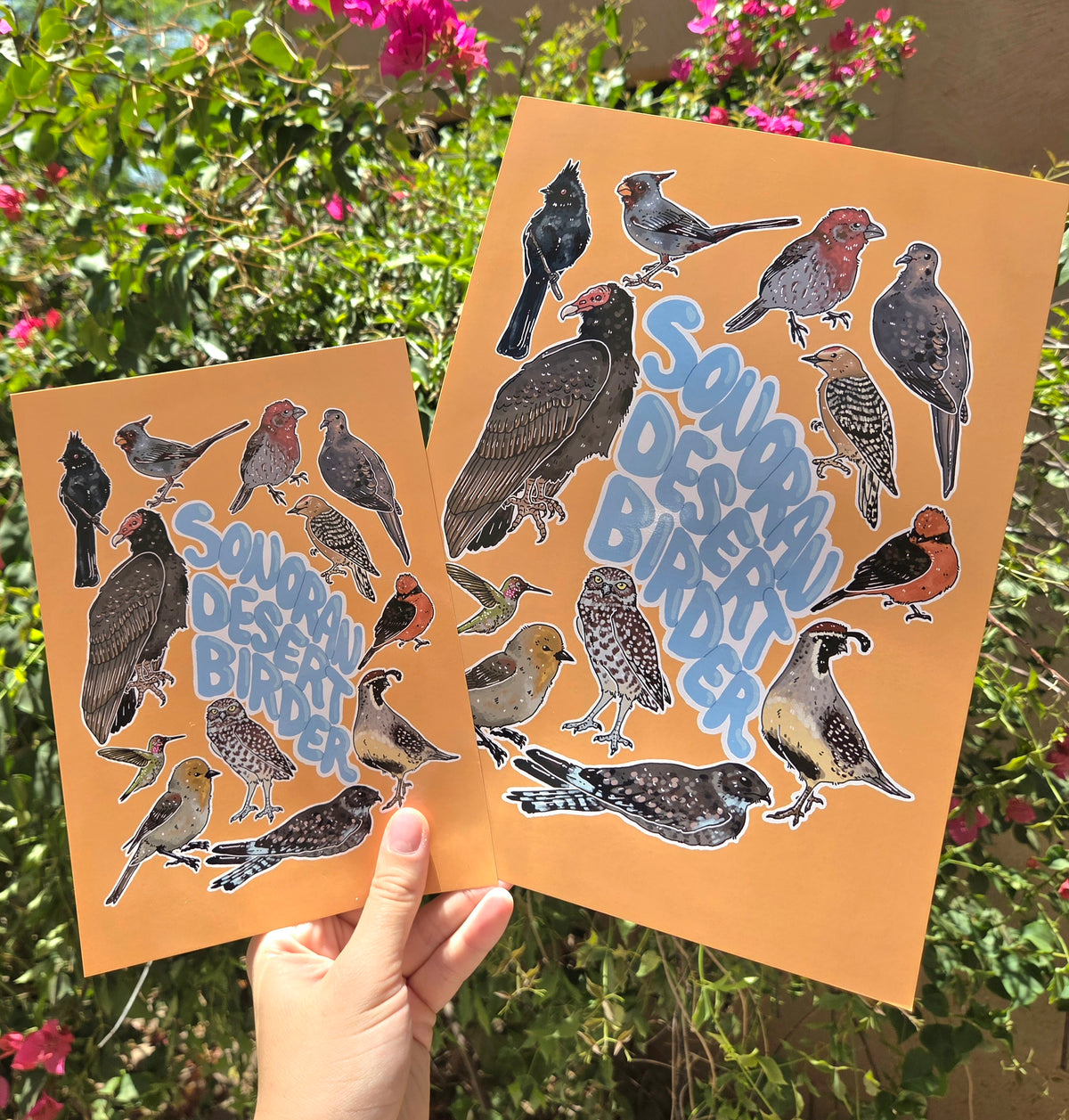 "Sonoran Desert Birder" Poster Print