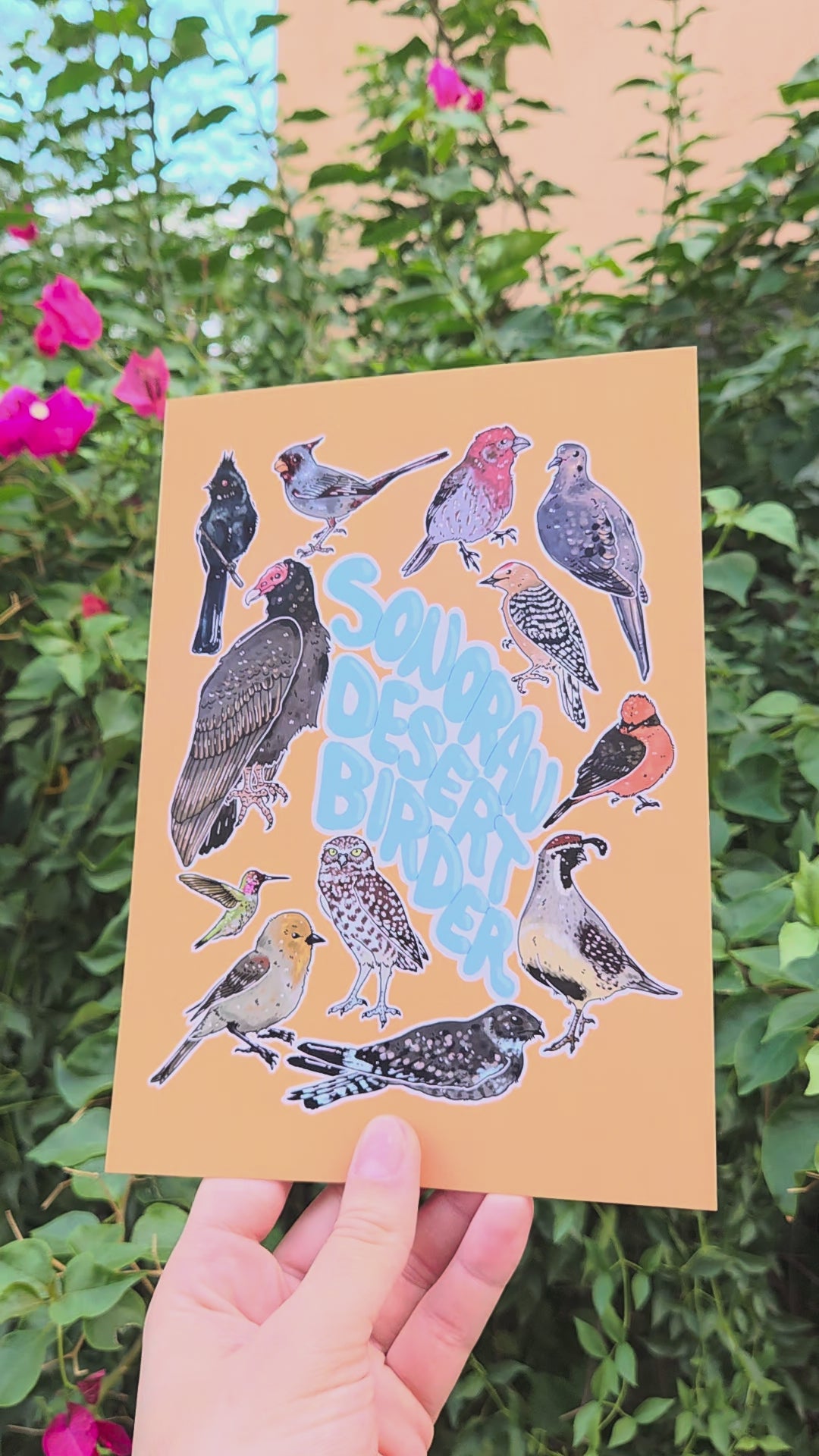 "Sonoran Desert Birder" Poster Print