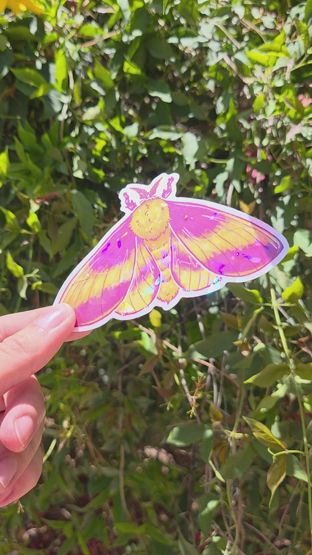 "Rosy Maple Moth" 4 Inch Waterproof Holographic Vinyl Sticker