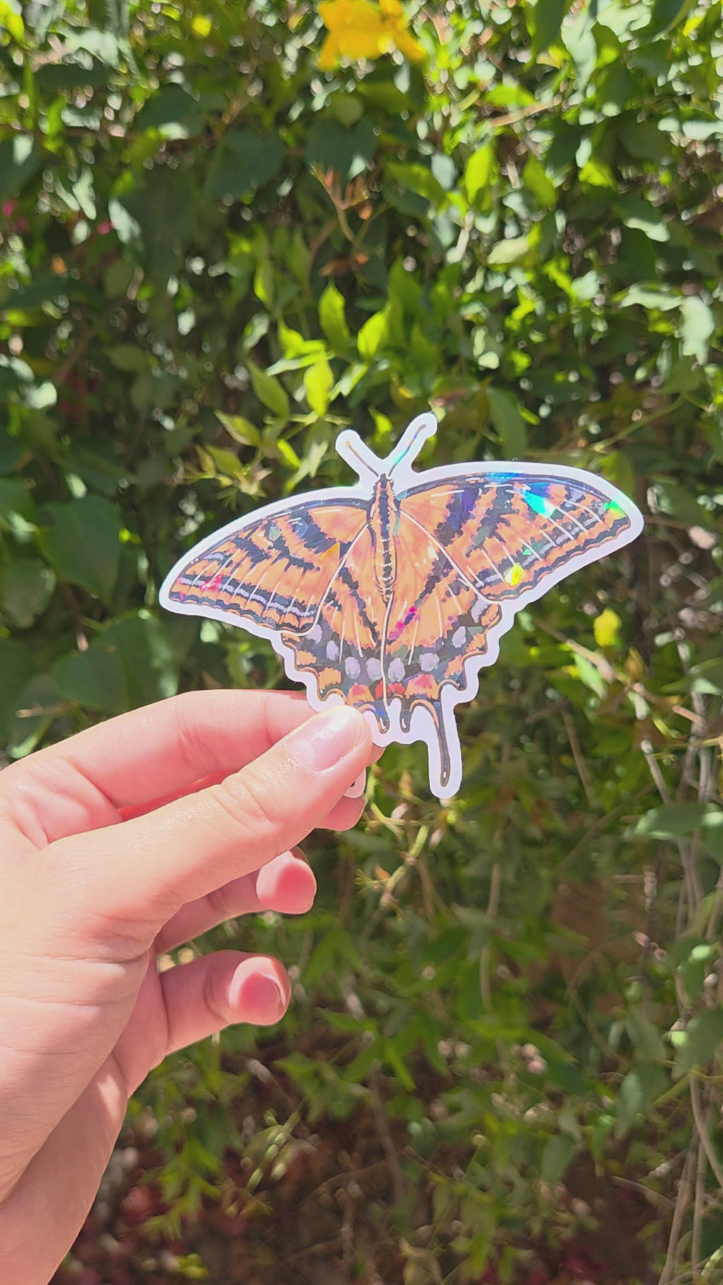 "Tiger Swallowtail" 4 Inch Waterproof Holographic Vinyl Sticker