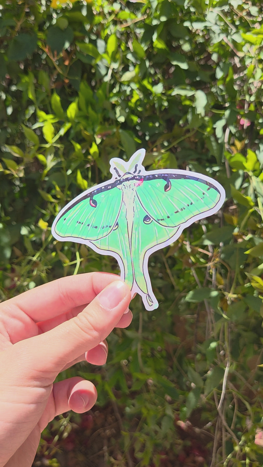 "Luna Moth" 4 Inch Waterproof Holographic Vinyl Sticker