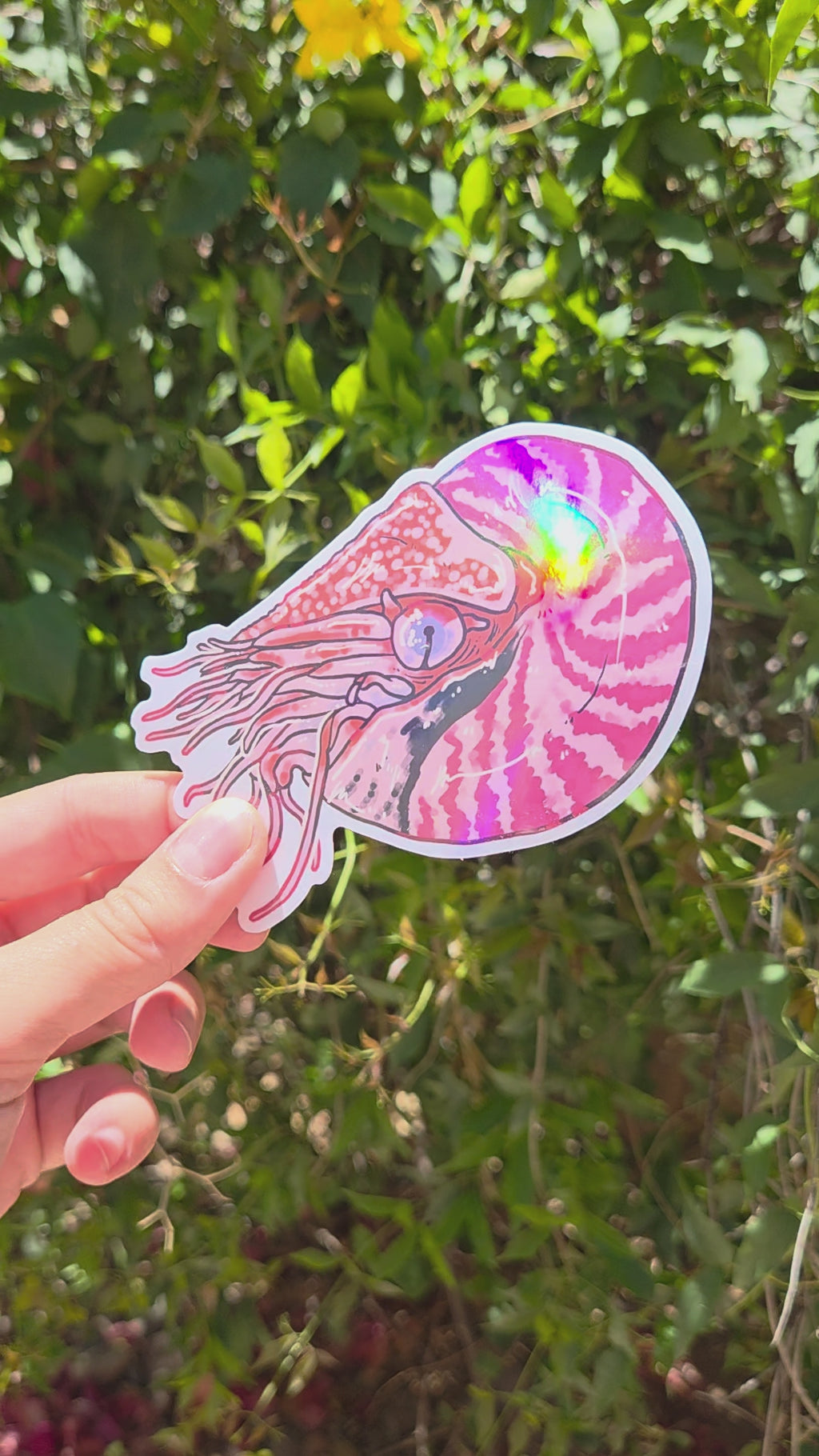 "Nautilus" 4 Inch Waterproof Vinyl Holographic Sticker
