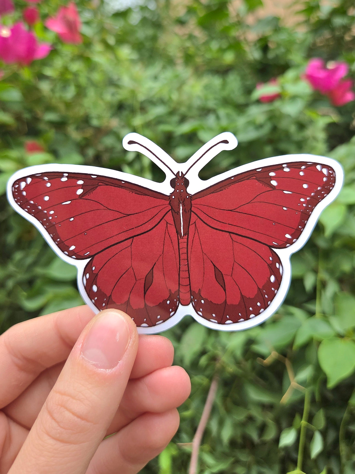 Arizona Native Butterfly Species 4 Inch Waterproof Glossy Vinyl Stickers (Choose Design)