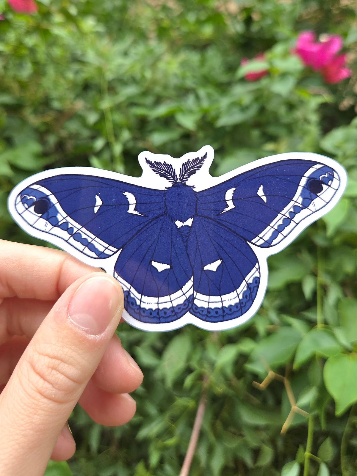 Arizona Native Moth Species 4 Inch Waterproof Glossy Vinyl Stickers (Choose Design)