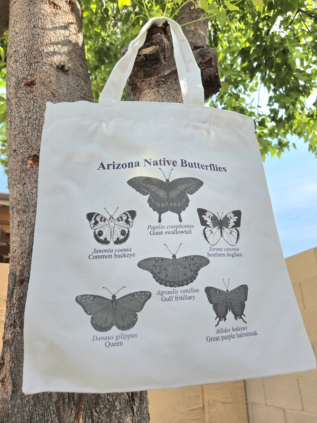 Arizona Native Butterflies Canvas Tote Bag