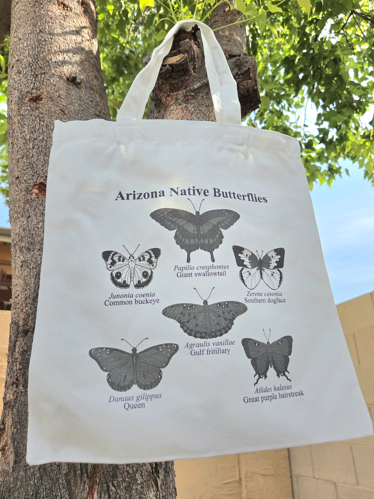 Arizona Native Butterflies Canvas Tote Bag