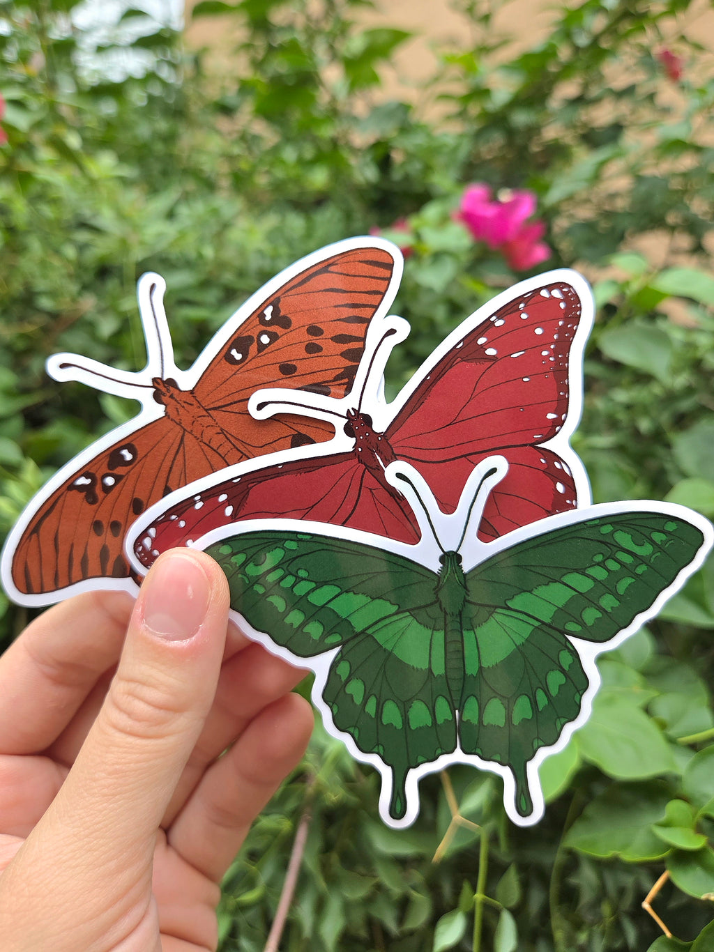 Arizona Native Butterfly Species 4 Inch Waterproof Glossy Vinyl Stickers (Choose Design)
