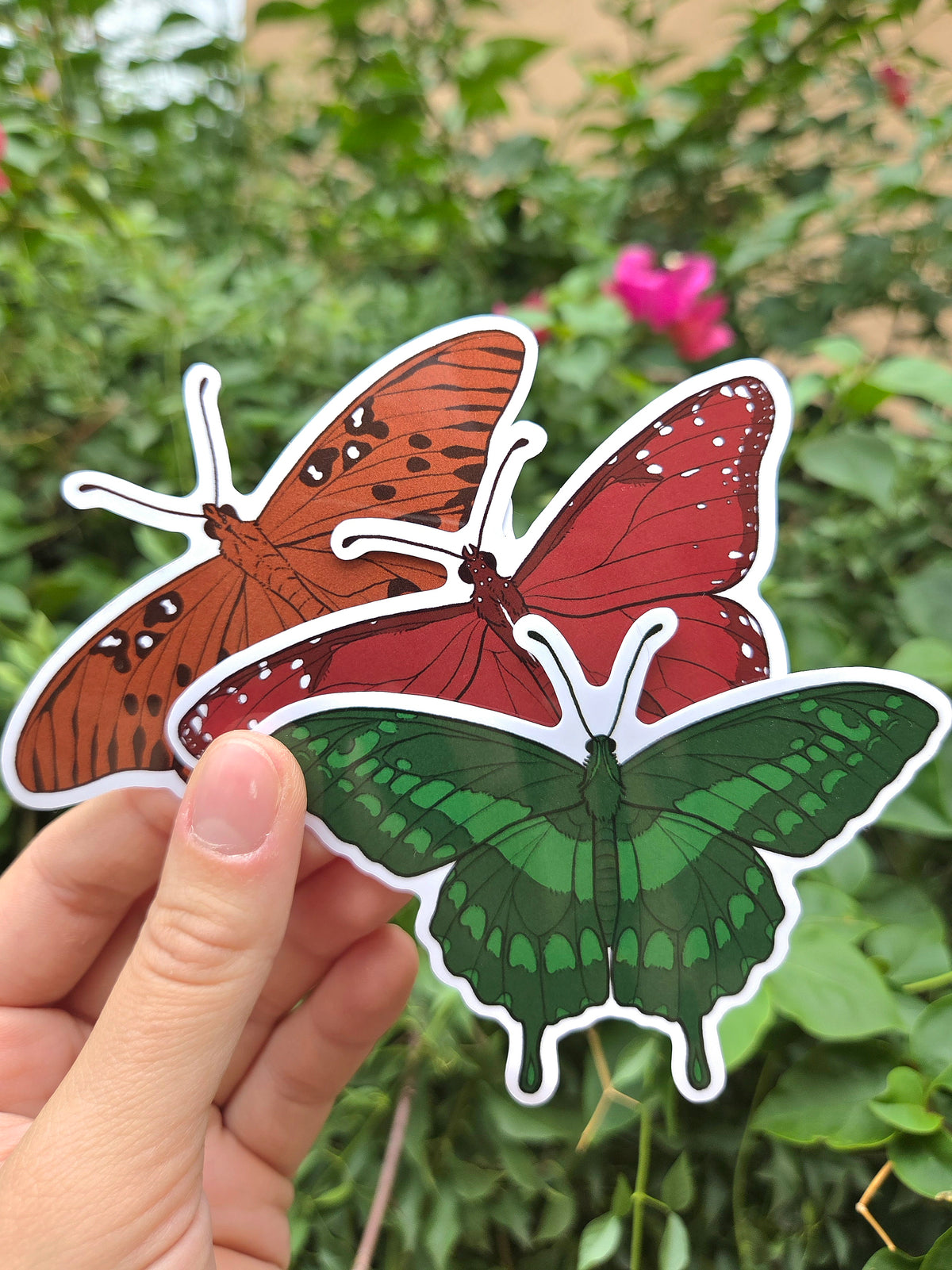 Arizona Native Butterfly Species 4 Inch Waterproof Glossy Vinyl Stickers (Choose Design)