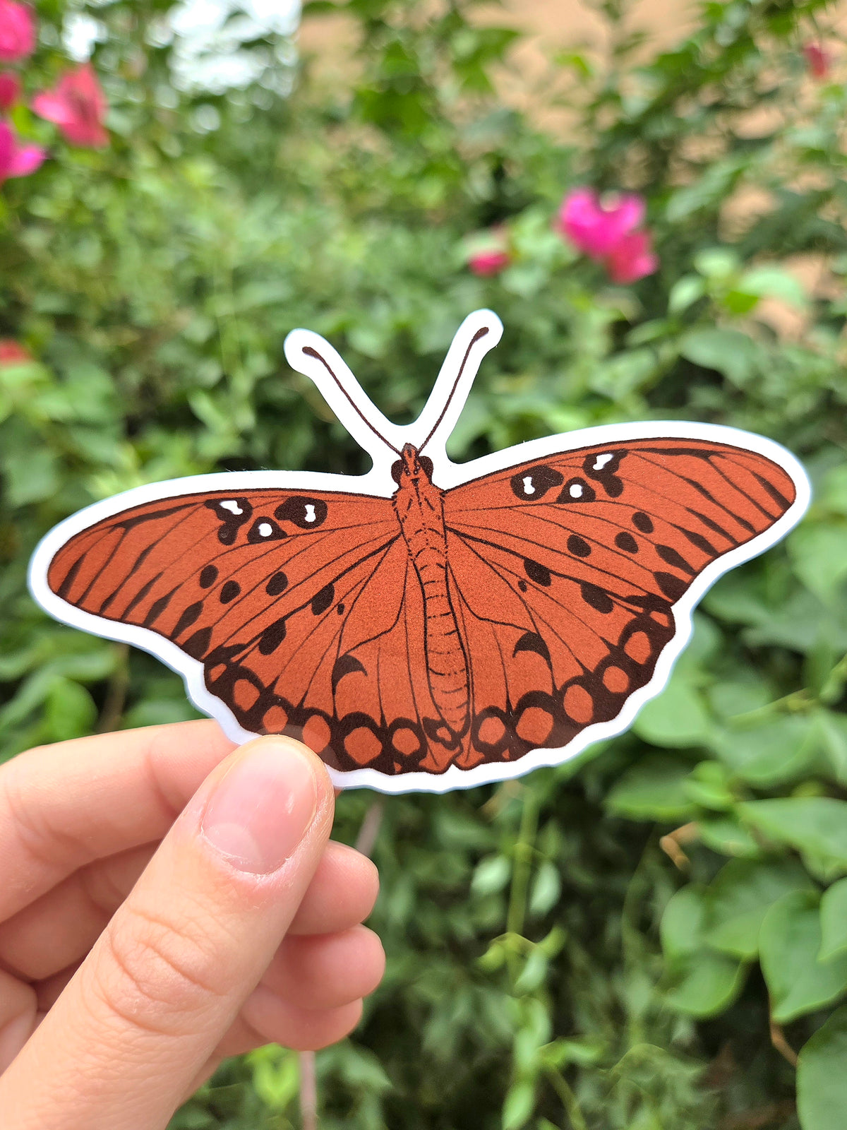 Arizona Native Butterfly Species 4 Inch Waterproof Glossy Vinyl Stickers (Choose Design)