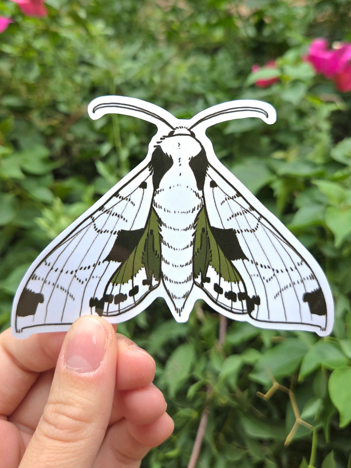 Arizona Native Moth Species 4 Inch Waterproof Glossy Vinyl Stickers (Choose Design)