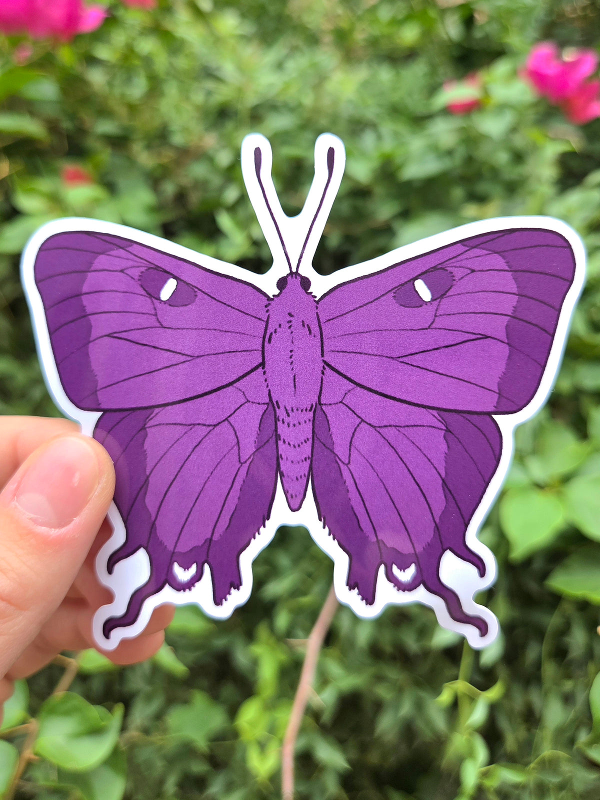 Arizona Native Butterfly Species 4 Inch Waterproof Glossy Vinyl Stickers (Choose Design)
