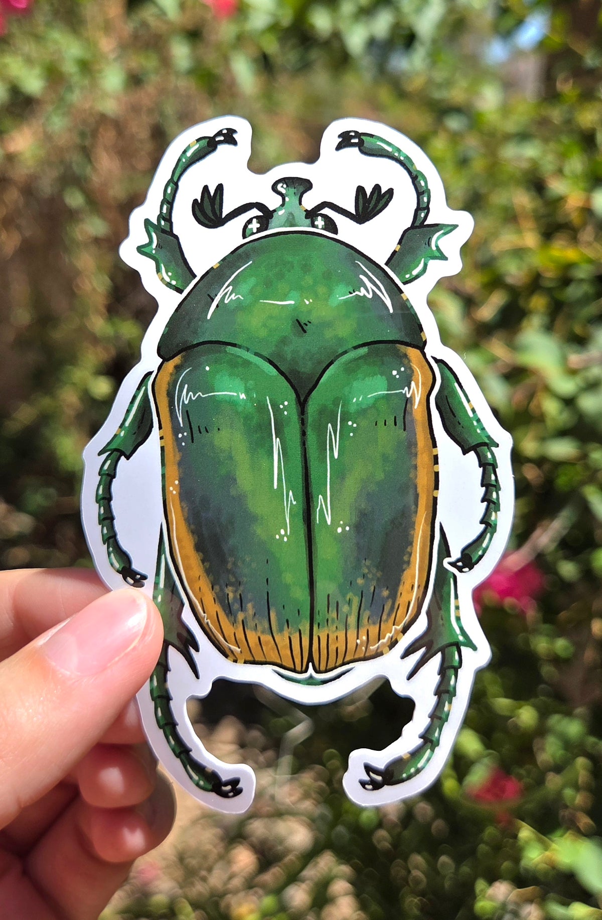 "Figeater Beetle" 4 Inch Waterproof Glossy Vinyl Sticker