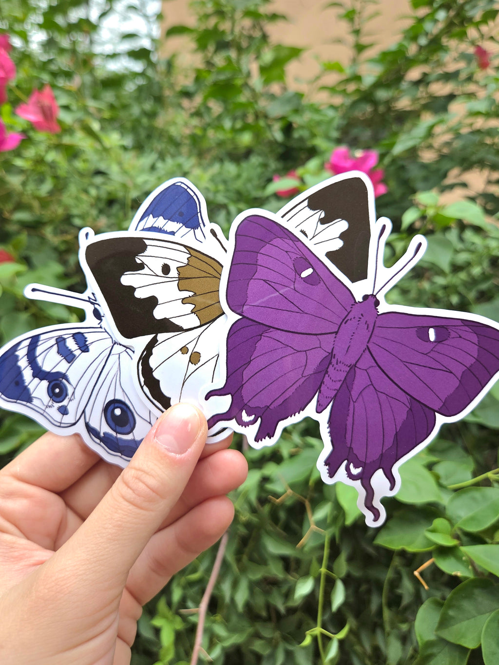 Arizona Native Butterfly Species 4 Inch Waterproof Glossy Vinyl Stickers (Choose Design)