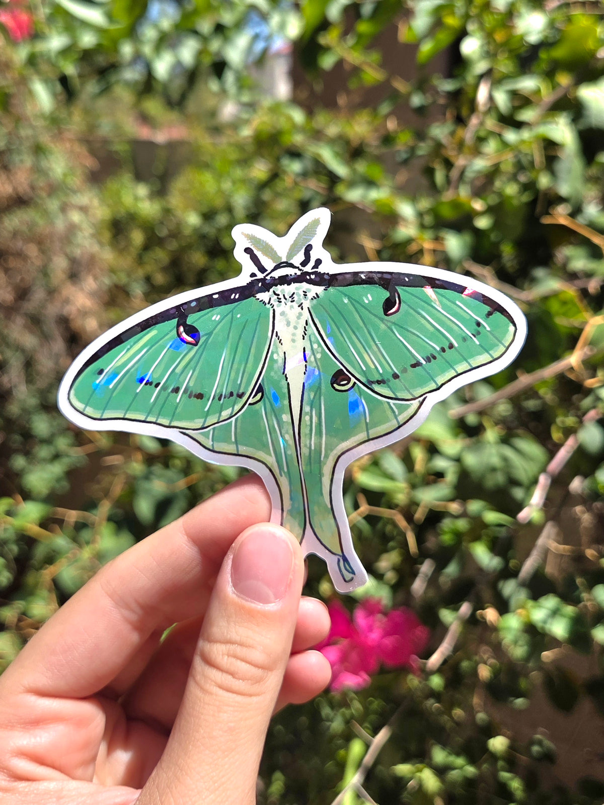 "Luna Moth" 4 Inch Waterproof Holographic Vinyl Sticker