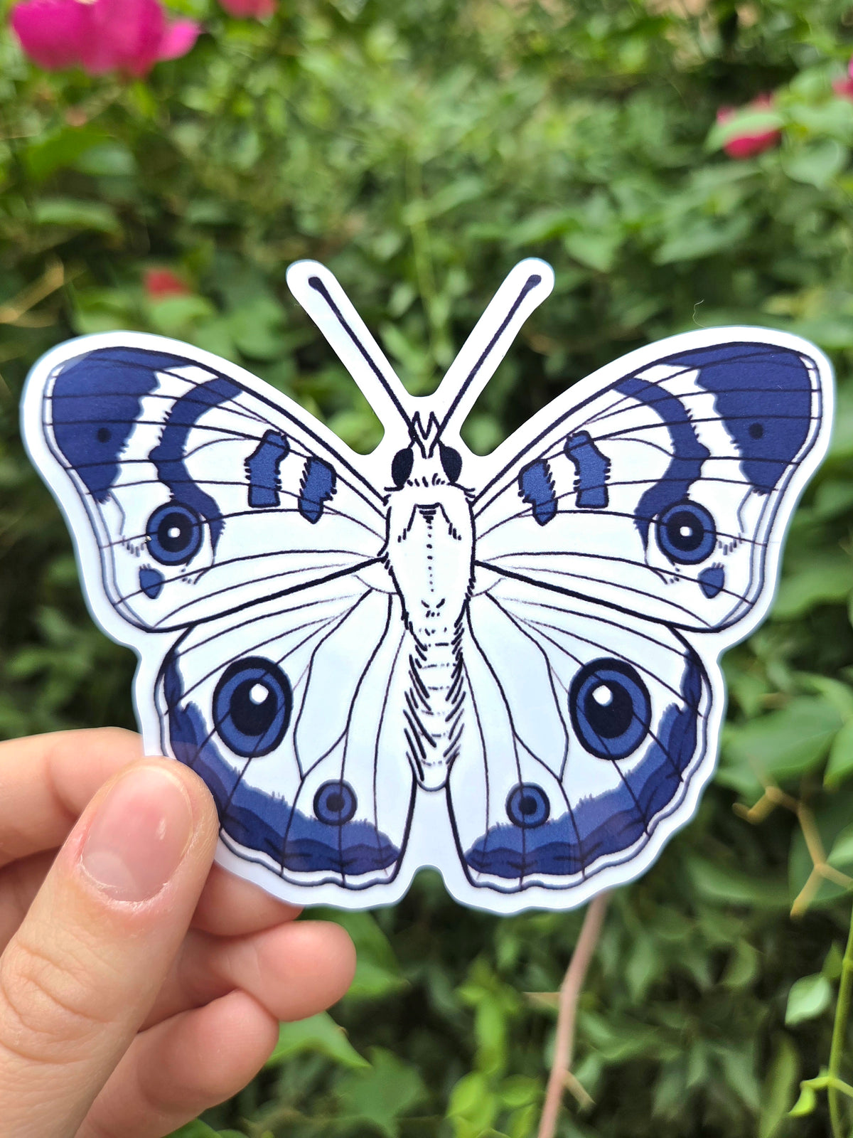 Arizona Native Butterfly Species 4 Inch Waterproof Glossy Vinyl Stickers (Choose Design)