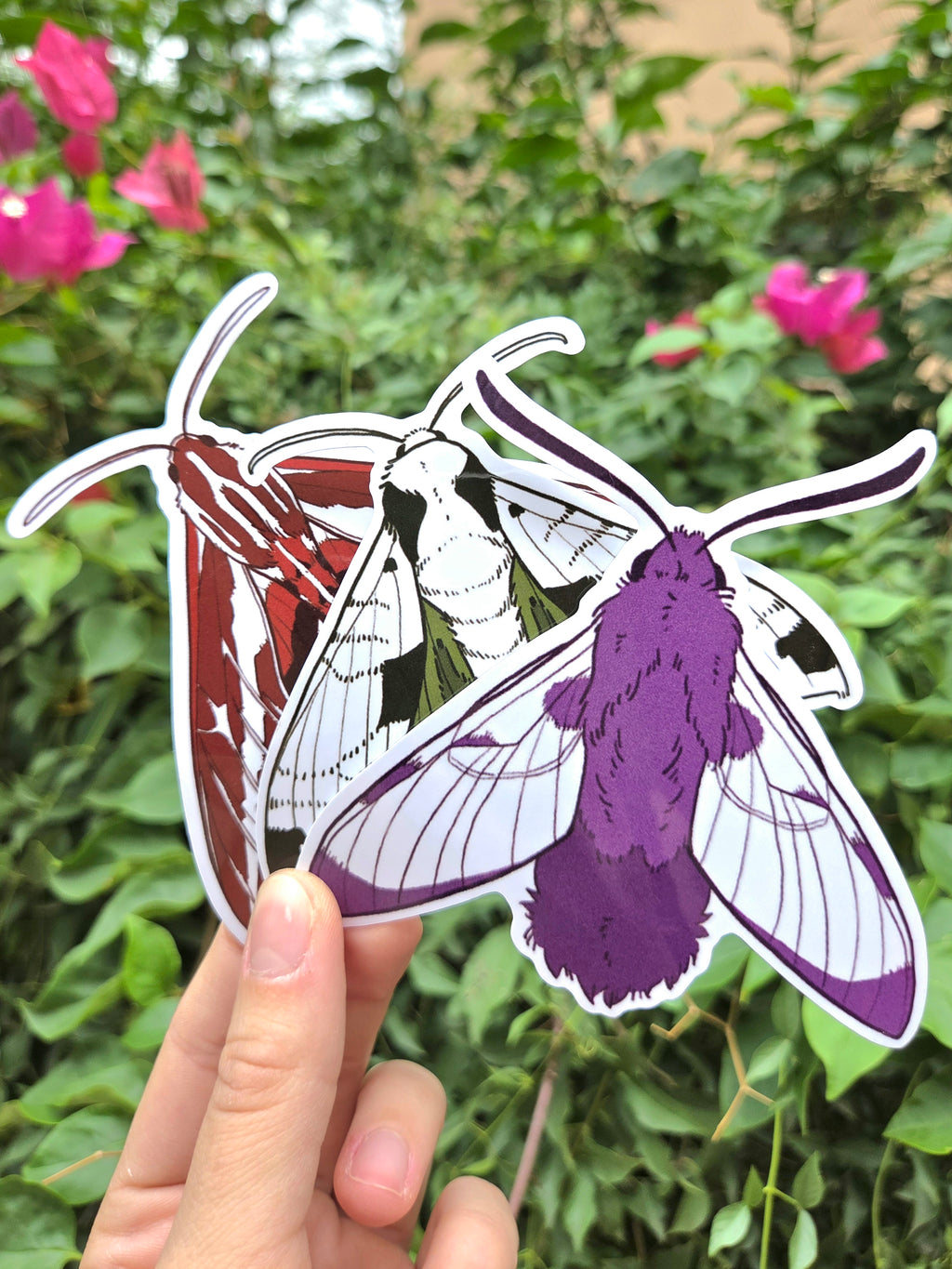 Arizona Native Moth Species 4 Inch Waterproof Glossy Vinyl Stickers (Choose Design)
