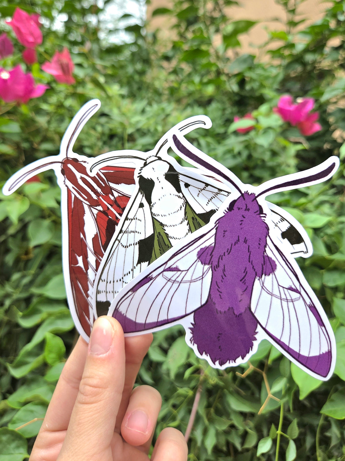 Arizona Native Moth Species 4 Inch Waterproof Glossy Vinyl Stickers (Choose Design)