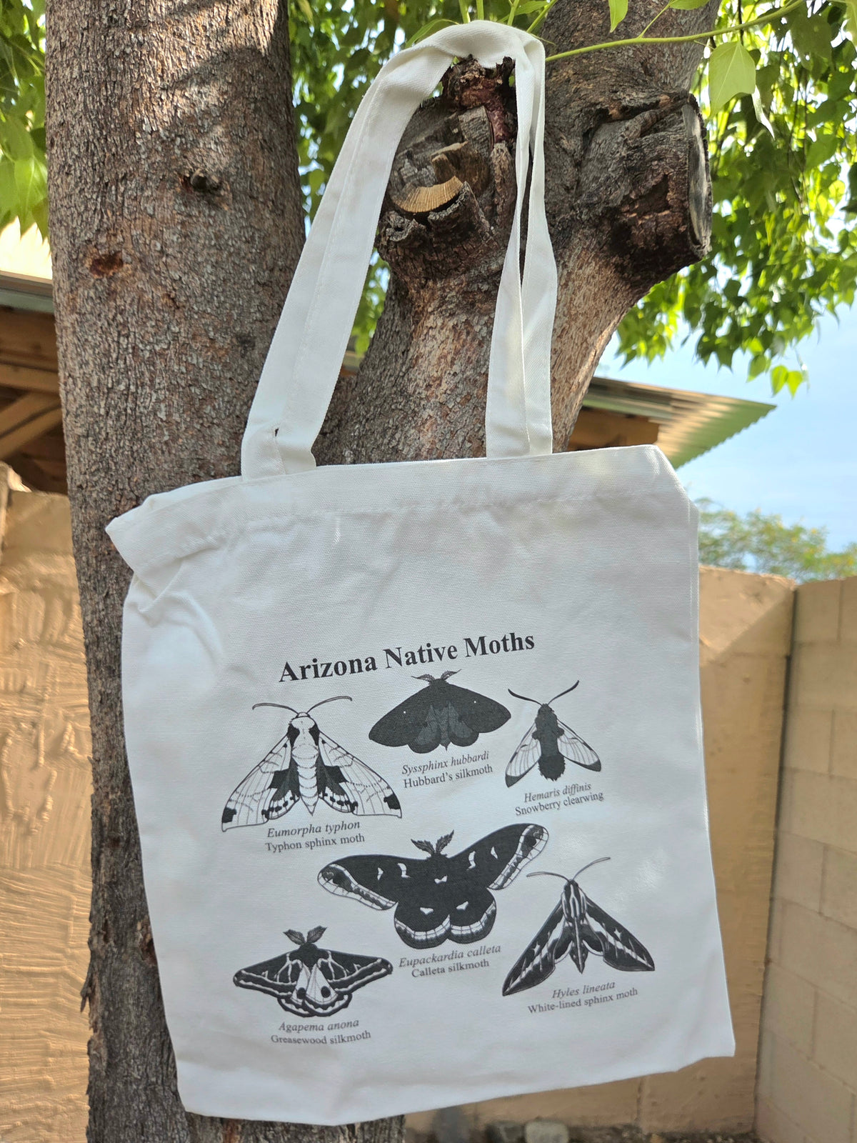 Arizona Native Moths Canvas Tote Bag
