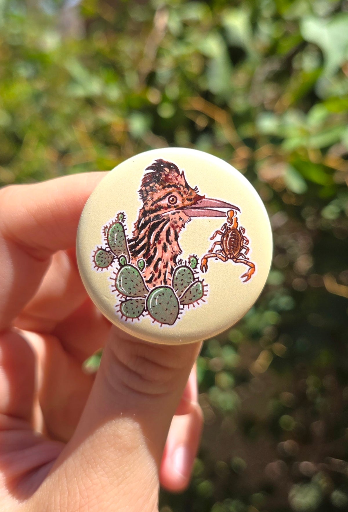 "Roadrunner Snack Time" 1.5 Inch Glossy Button Pin