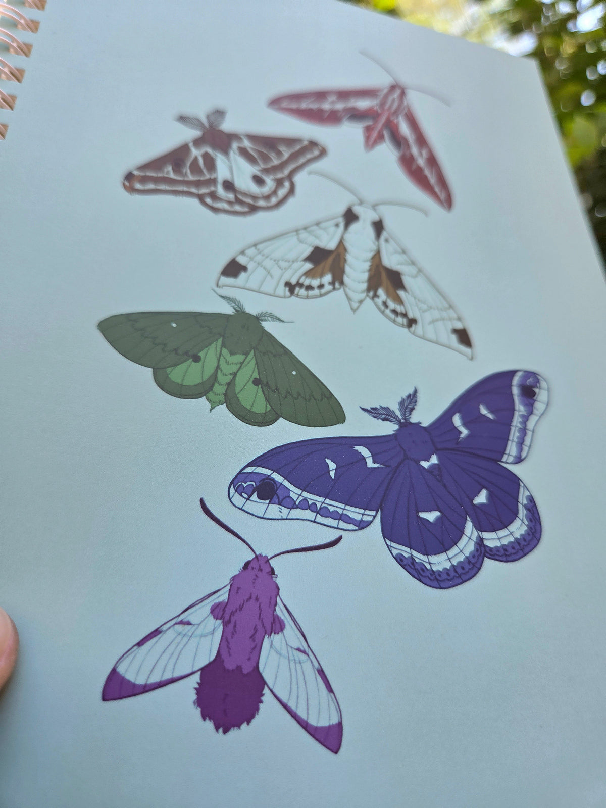 Moth Rainbow A5 Spiral Notebook