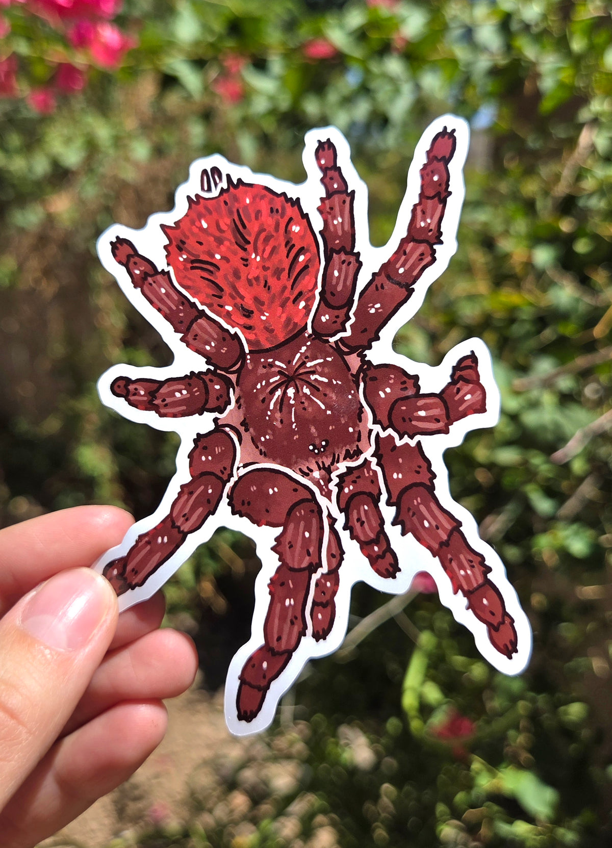 "Tarantula" 4 Inch Waterproof Glossy Vinyl Sticker