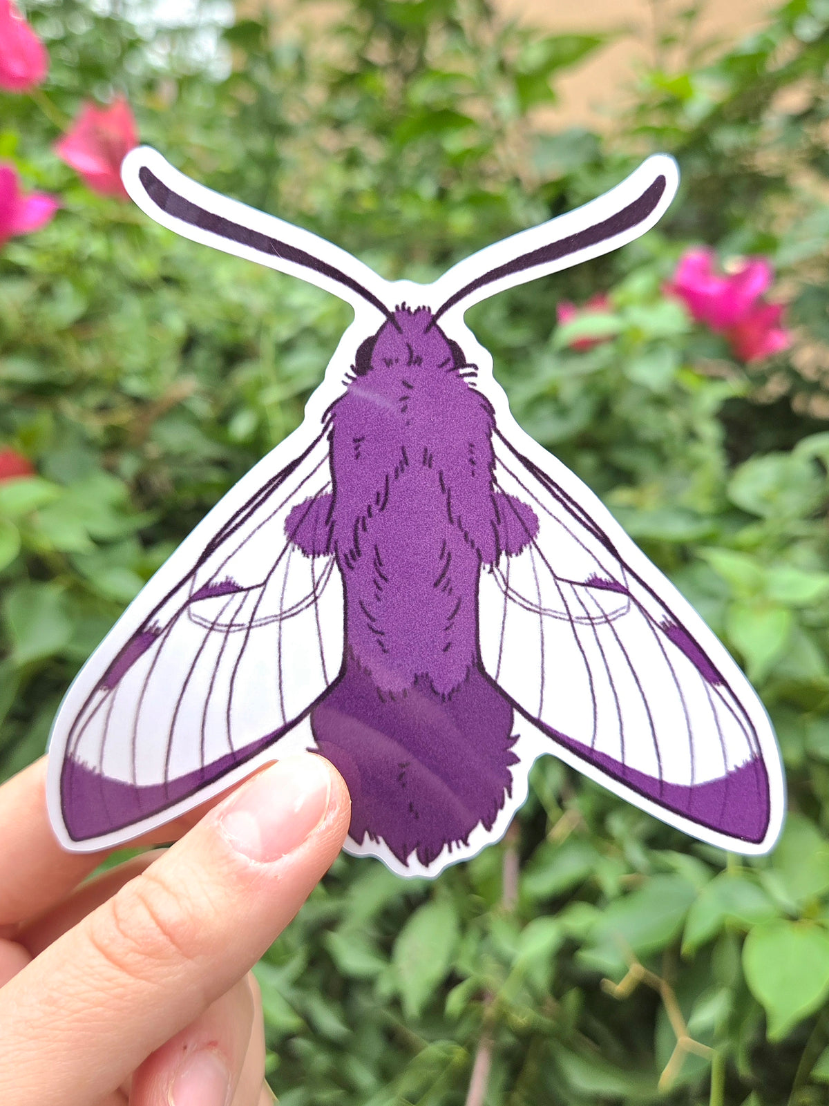 Arizona Native Moth Species 4 Inch Waterproof Glossy Vinyl Stickers (Choose Design)