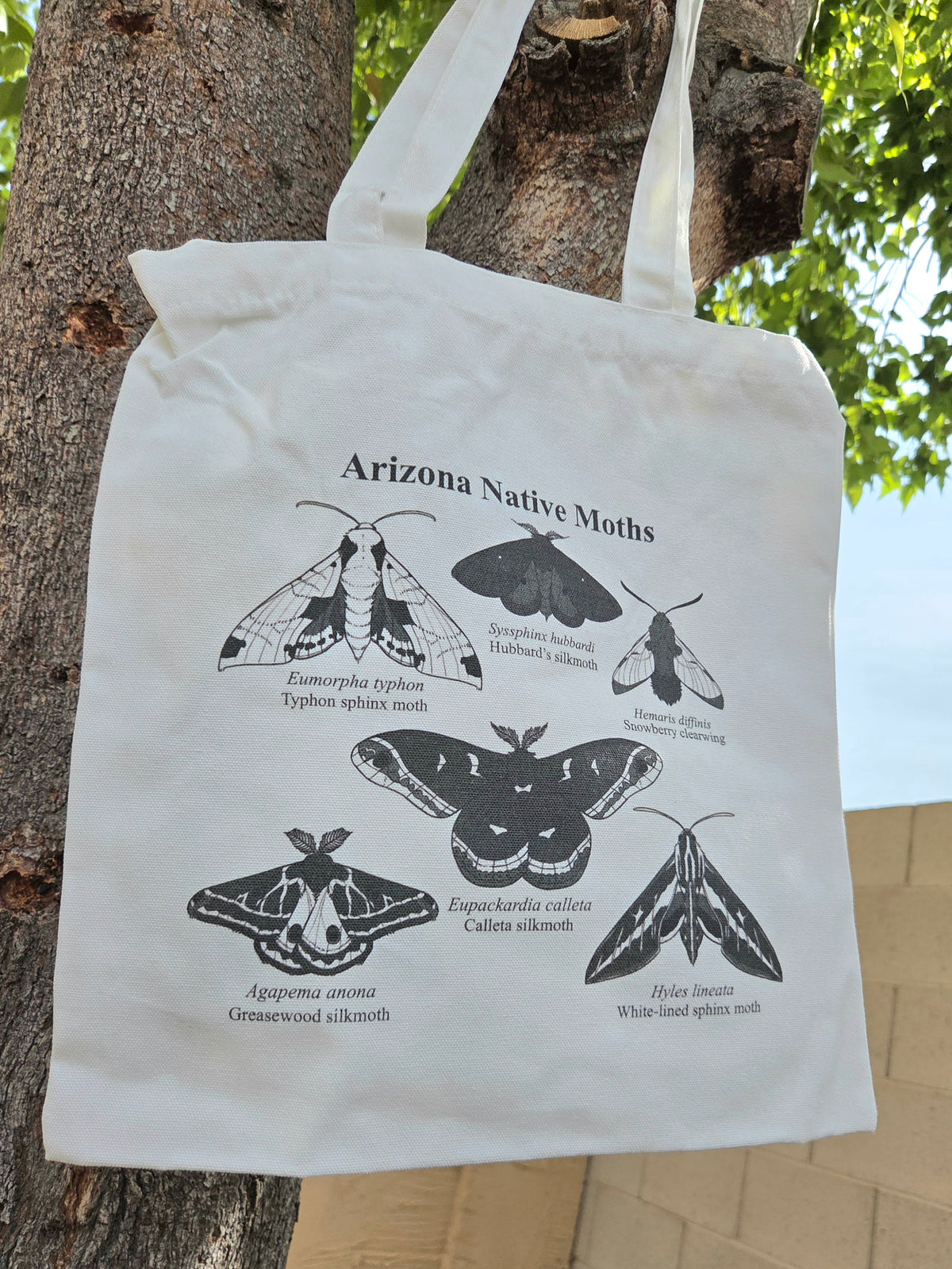 Arizona Native Moths Canvas Tote Bag