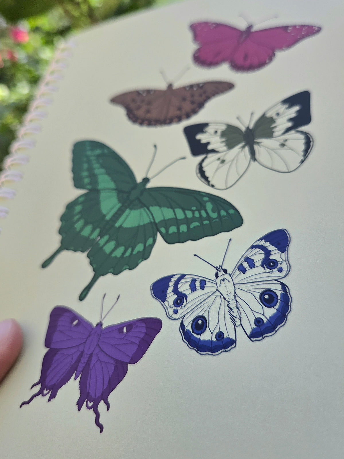 Butterfly Rainbow A5 Spiral Notebook